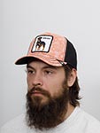 Бейсболка GOORIN BROTHERS арт. 101-0948 (розовый)